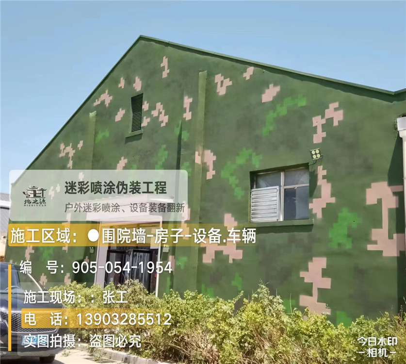 常州外墙数码迷彩漆施工报价清单(100㎡标准墙面测算)